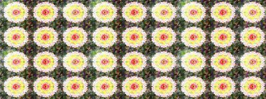 Raster illüstrasyonu. Küçük çiçekteki sevimli çiçek deseni. Tarafsız renklerde çiçekler.