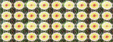 Çiçek desenli raster, yeşil çizgi grafik desenli soyut raster arkaplan. Modern stil dokusu.