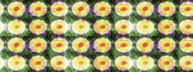 Şekil verilmiş çiçeklerle eskiz deseni. Süslü zentangle çizim dokusu, soyut çiçeklerle süslenmiş. Çiçek deseni duvar kağıdı, şablon dolguları ve web sayfası arkaplanı için kullanılabilir.