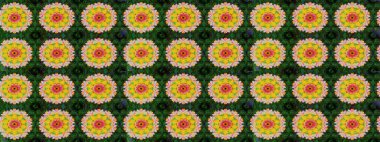 Nazik, narin çiçek arkaplanı. Çiçekli karalama şeklinde Raster çiçek deseni. Yeşil renkte çiçekler.