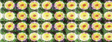 Şekil verilmiş çiçeklerle eskiz deseni. Süslü zentangle çizim dokusu, soyut çiçeklerle süslenmiş. Çiçek deseni duvar kağıdı, şablon dolguları ve web sayfası arkaplanı için kullanılabilir.