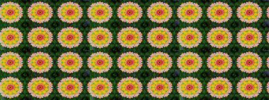 Nazik, narin çiçek arkaplanı. Çiçekli karalama şeklinde Raster çiçek deseni. Yeşil renkte çiçekler.