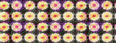 Çiçek desenli eskiz. Sarı renkli çiçekler. Tişört baskısı için çiçek boyama rasteriName.