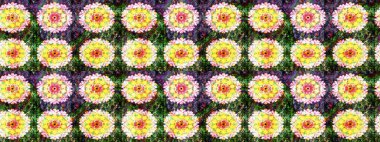 Tekstil ve kapak tasarımı için mükemmel. Sarı renkli çiçekler. Elle çizilmiş sonbahar çiçeği deseni. Doodle tarzı. Renkli sarı çizim deseni.