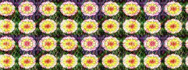 Tekstil ve kapak tasarımı için mükemmel. Sarı renkli çiçekler. Elle çizilmiş sonbahar çiçeği deseni. Doodle tarzı. Renkli sarı çizim deseni.