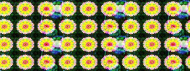 Raster hisseleri. Suluboya, elle çizilmiş. Sarı üzerine çiçekler. Taslak arkaplan deseni.