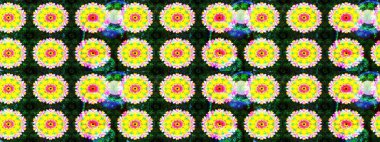 Raster hisseleri. Suluboya, elle çizilmiş. Sarı üzerine çiçekler. Taslak arkaplan deseni.