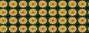 Raster Yumuşak kumaş deseni. Çiçek yeşili eskiz deseni. Klasik taslak çizimi. Raster çiçek izi..