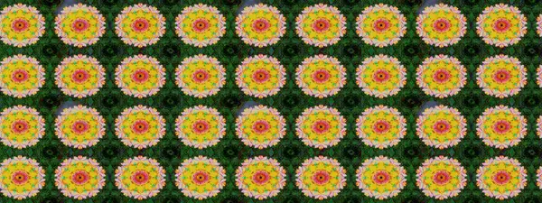 Raster Yumuşak kumaş deseni. Çiçek yeşili eskiz deseni. Klasik taslak çizimi. Raster çiçek izi..