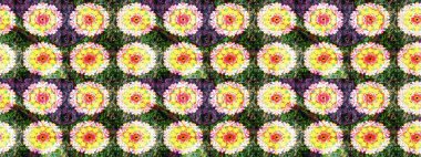 Taşralı şıklığı. Küçük yabani çiçeklerdeki halk modelini çiz. Tekstil, duvar kâğıdı, kapaklar, yüzey, baskı, hediye paketi, hatıra defteri, dekupaj. Liberty style millefleurs.