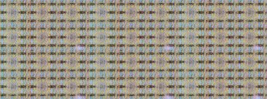 Düz Çiçek Elementleri Tasarımı. Raster illüstrasyonundaki çiçek desenli çizim. Renkli Bahar Teması eskiz kalıbı. Süslü kumaş deseni.