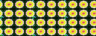 Renkli grunge, soyut arkaplanı coloyellow çiçekleri ile zenginleştirir. Nakış desenli çiçek deseni. İzler, kumaş, duvar kağıtları, tekstil için raster dokusu.