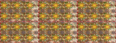 Raster şirin suluboya çiçek desenleri çiziyor. Büyük bir çiçek boyası seti. Kartlar, davetiyeler, tarih kartları ve daha fazlası için kullanılabilir.