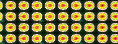 Nazik, narin çiçek arkaplanı. Sarı renkli çiçekler. Raster çiçek desenli ve çiçekli..