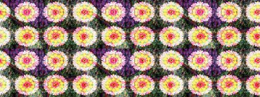 Raster suluboya çiçek deseni, narin çiçekler, sarı çiçekler, tebrik kartı şablonu. Raster Güzel kumaş deseni.