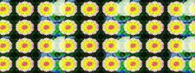 Sarı renkli çiçekler. Nazik, sevimli çiçek arkaplanı. Raster çiçek desenli ve çiçekli..