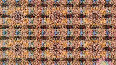 Çiçekleri, deniz kabukları, mandalaları ve suluboya efektleriyle donanma geçmişi. Yatak çarşafları, ceket, paket tasarımı, kumaş ve moda kavramları için tekstil baskısı. Çizim kalıbı etnik tasarım.