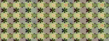 Şirin çiçekler. Çizgi çizimi kalıbı. Raster Moda kumaş deseni.