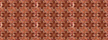 Etnik Mandala süsleme. Hint çiçek desenli madalyon desen. Kullanılabilir Tekstil, tebrik kartı, boyama kitabı, telefon durumda yazdırma için. Raster kına dövme stil.