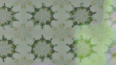 Renkli unsurlarla hareketli arka plan görüntüleri. Çiçekler. Eski model. Bayrak tarzı. Video kaydı. Şablon. Döngü. Kusursuz..
