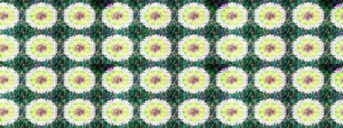 Raster resim. Çiçek desenli çiçek ve yaprakları ile. Sevimli küçük çiçek desenle.