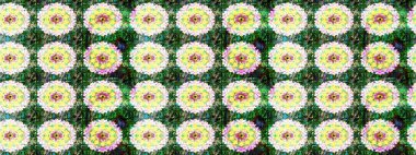 Küçük çiçekte güzel bir desen. Motley illüstrasyonu. Moda baskıları için zarif bir şablon. Küçük renkli çiçekler. Çiçekli bahar çiçekleri.