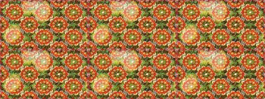 Raster geleneksel, kahverengi renklerde, altın, pürüzsüz desen. Barok tarzında kusursuz bir doğulu süsü..