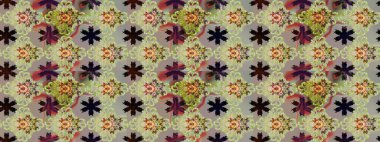 Çiçekli çiçek deseni, suluboya. Düz Çiçek Elementleri Tasarımı. Raster illüstrasyonu. Renkli Bahar Teması eskiz kalıbı. Tarafsız renklerde çiçekler.