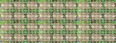 Bej renklerde altın elementler. Duvar kâğıdı barok, İspanyol kumaşı. Şık bir grafik desen. Çiçek deseni. Kusursuz raster arkaplanı.