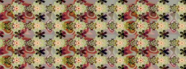 Etnik Mandala süsleme. Kullanılabilir Tekstil, tebrik kartı, boyama kitabı, telefon durumda yazdırma için. Raster kına dövme tarzı. Hint çiçek desenli madalyon desen.