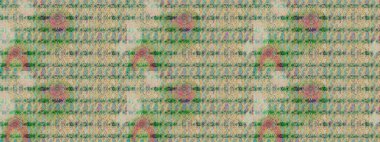 Vadinin bej ve nötr renklerdeki çiçekleri. Çiçeksel çizim kalıbının çizimi.