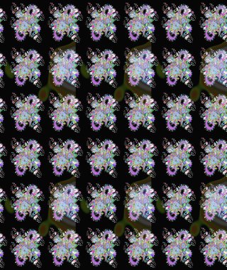 Siyah renkli çiçekler. Renkli Yaz Temalı eskiz kalıbı. Düz Çiçek Elementleri Tasarımı. Raster illüstrasyonunda çiçek deseni çizimi.