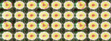 Yazdır. Raster çiçekli arka plan. Düz Çiçek Elementleri Tasarımı. Renkli Yaz Temalı eskiz kalıbı. Güzel kumaş deseni. Güzel çizim şekli..