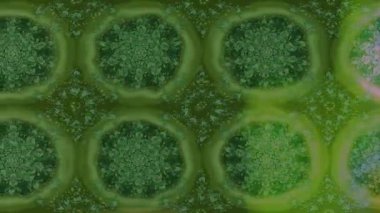 Renkli unsurlarla hareketli arka plan görüntüleri. Çiçekler. Eski model. Bayrak tarzı. Video kaydı. Şablon. Döngü. Kusursuz..