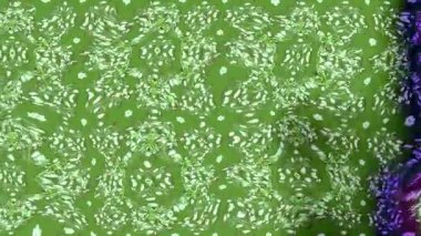 Renkli unsurlarla hareketli arka plan görüntüleri. Çiçekler. Eski model. Bayrak tarzı. Video kaydı. Şablon. Döngü. Kusursuz..