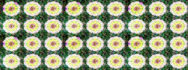 Raster çiçek izi. Raster Yumuşak kumaş deseni. Çiçek yeşili ve nötr çizim deseni. Klasik taslak çizimi.