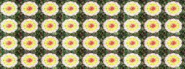 Düz Çiçek Elementleri Tasarımı. Renkli Bahar Teması eskiz kalıbı. Zentangle soyut çiçekleri. Raster illüstrasyonu. Karalama çiçeği. Şirin kumaş deseni.