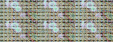 Tarafsız ve gri renklerde çiçekler. Raster düz çiçek çizim deseni. Tasarım hediye paketi, tebrik kartları, posterler ve afiş tasarımı.