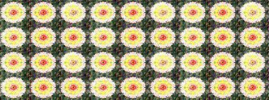 Çiçekler. Vadinin çiçekleri tarafsız ve yeşil renklerde. Soyut etnik raster çizim kalıbı.