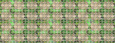 Bej renkli ve altın elementli altın desenli. Raster klasik barok çiçeksiz altın desenli. Süslü dekorasyon. Lüks, kraliyet ve Viktorya dönemi konsepti.