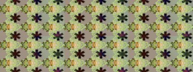 Sabıka fotoğraflarında, bebek kıyafetlerinde, duvar kâğıtlarında, paket kutularında falan kullanılabilir. Zarif, parlak ve eskiz nötr ve gri çiçek desenli tasarım.