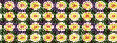 Raster illüstrasyonundaki çiçek desenli çizim. Sarı renkte çiçekler.