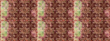 Klasik klasik klasik arka plan. Kahverengi renklerde, altın elementlerle kusursuz desen. Geleneksel oryantasyon süsü. Kusursuz klasik raster altın desenli.