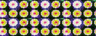 Güzel çiçek deseni. Sarı ve mavi renkte çiçekler. Düz Çiçek Elementleri Tasarımı. Renkli Bahar Teması çizim şablonu.