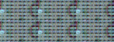 Suluboya, elle çizilmiş. Raster - stok. Eskiz arkaplan modeli. Vadinin çiçekleri mavi ve nötr renklerde.