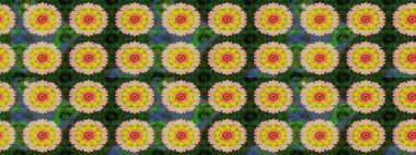 Klasik çiçek tasarımı elementleri. Yeşil kıvırcık çiçekler yeşil renkte şekillenir. Raster illüstrasyonu.