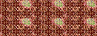 Barok tarzında kusursuz bir doğulu süsü. Kahverengi renklerde altın elementler. Geleneksel klasik raster altın pürüzsüz desen.