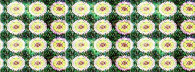 Çiçekler suluboya eskiz deseni. Raster Stili kumaş deseni.