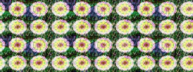 Küçük çiçekli yay deseni çiz. Suluboya tarzında yeşil ve nötr renklerde. Raster illüstrasyonu.