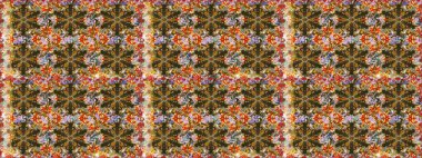 Küçük bir alan derinliği. Kahverengi renkli ve altın elementli desen. Kusursuz ahşap oyma. Lüks mobilyalar. Oyma. Klasik mobilya tarzı. Patina. Altın kaplamalı kahverengi zemin.